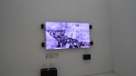 35-DSCN4917.JPG