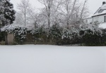 28-P1110836.JPG