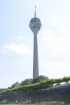 40-DSC_0206.JPG