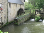 IMG_0998.jpg