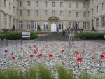 IMG_1028.jpg