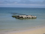 IMG_1035.jpg
