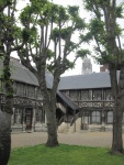 IMG_1185.jpg
